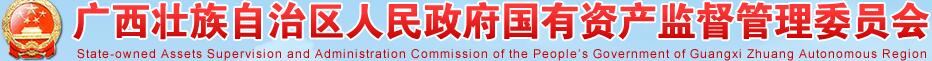 廣西壯族自治區人民政府國有資産監督管理委員會